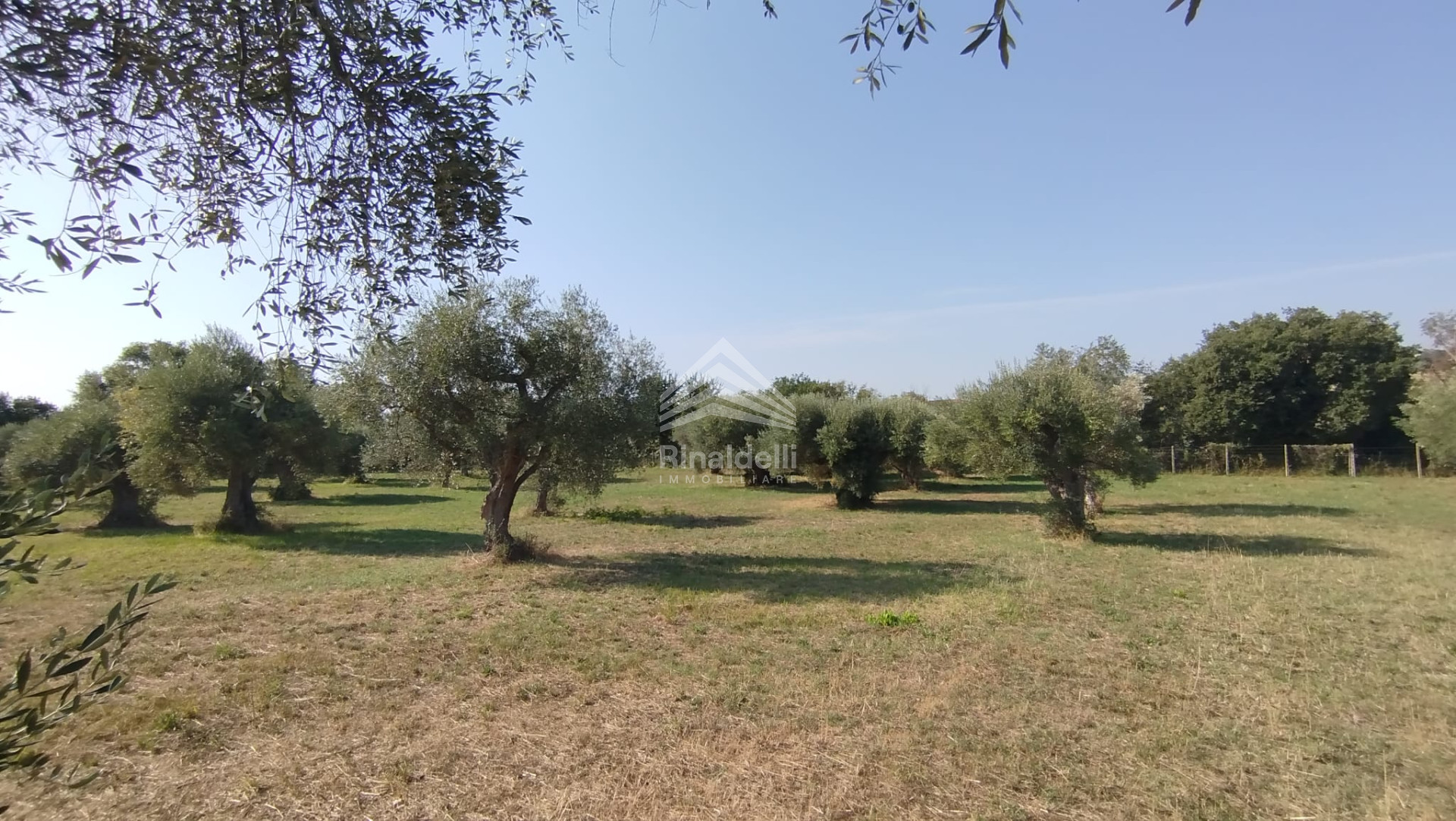 Terra in vendita a Civitanova Marche - Foto 14