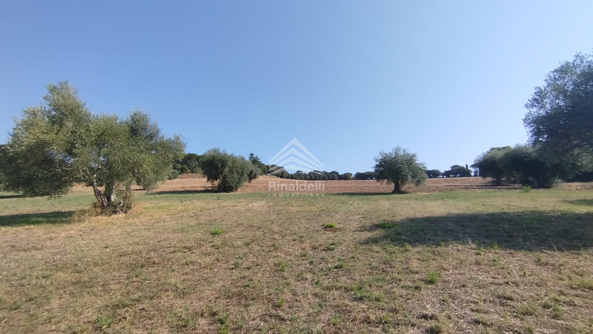 Terra in vendita a Civitanova Marche - Foto 11