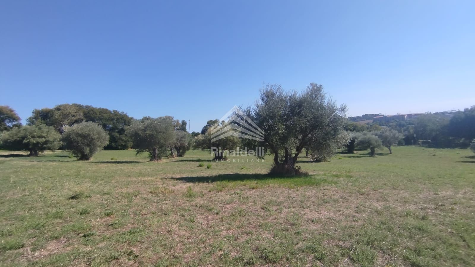 Terra in vendita a Civitanova Marche - Foto 30
