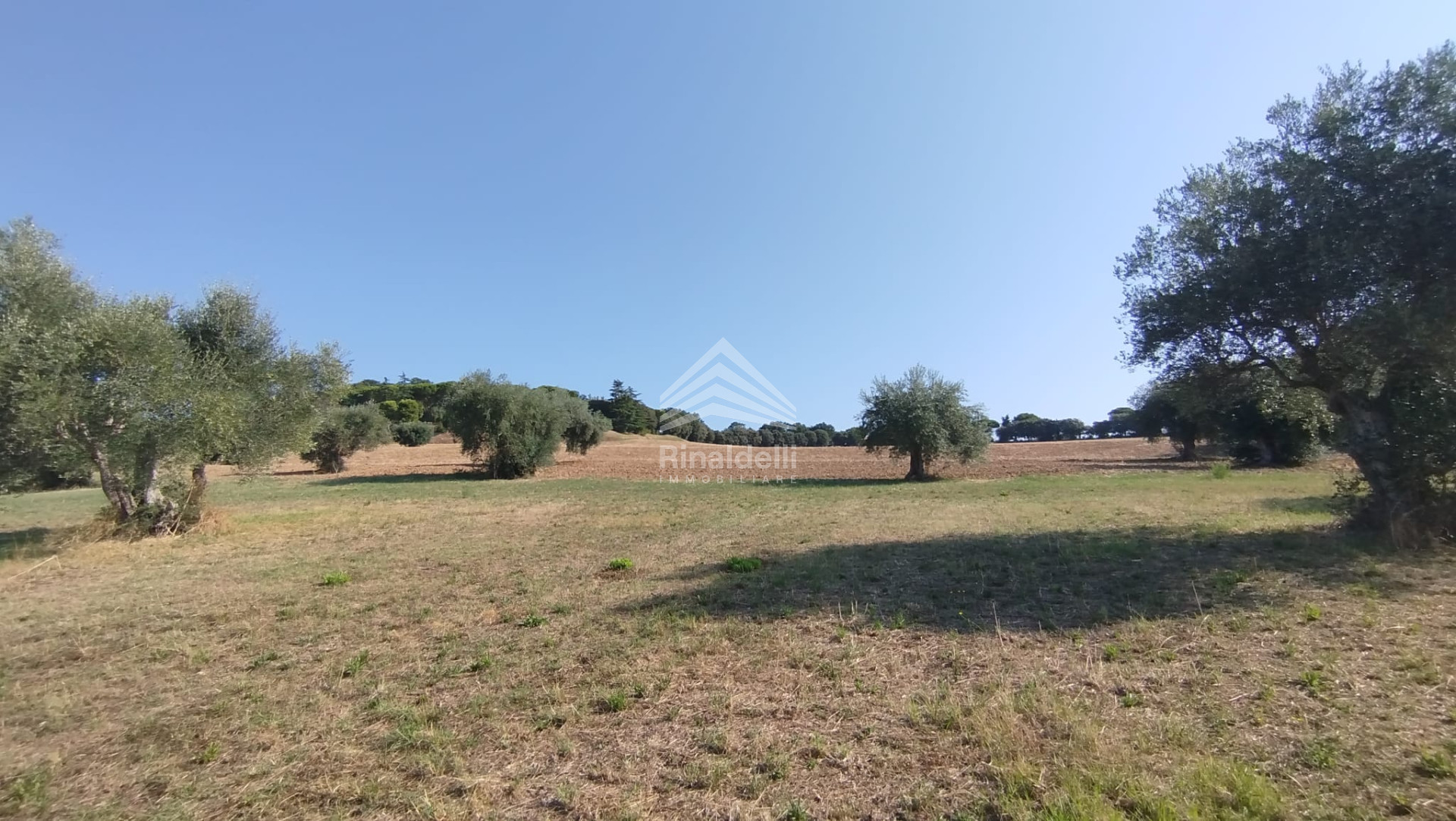 Terra in vendita a Civitanova Marche - Foto 5