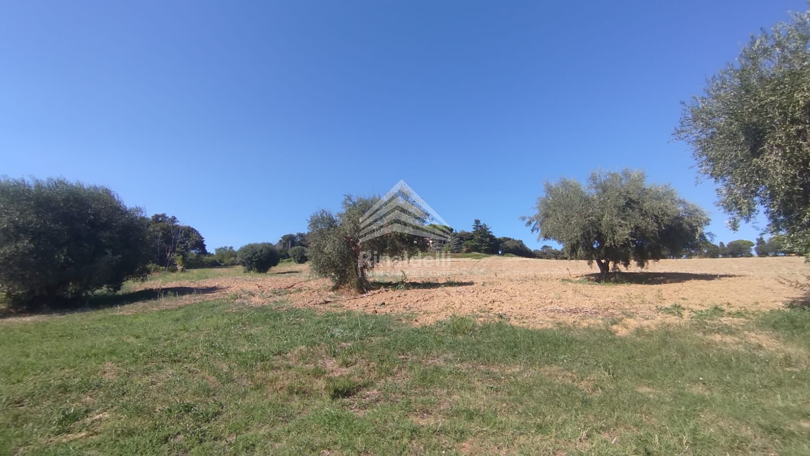 Terra in vendita a Civitanova Marche - Foto 17