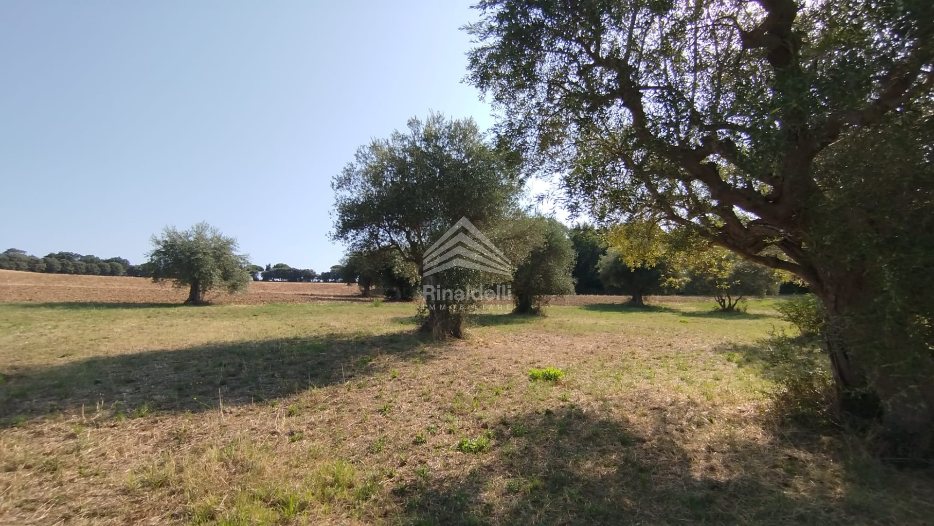 Terra in vendita a Civitanova Marche - Foto 3