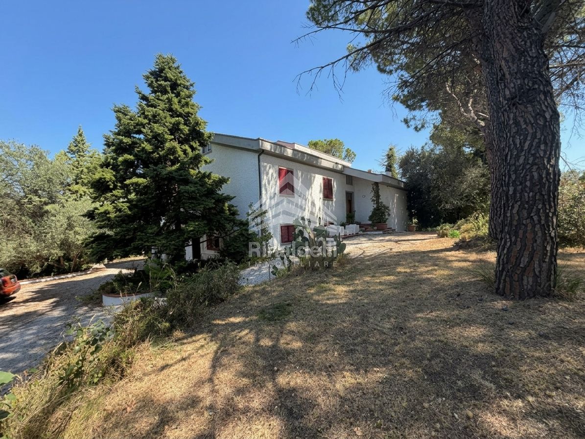 Villa in vendita a Pollenza - Foto 7