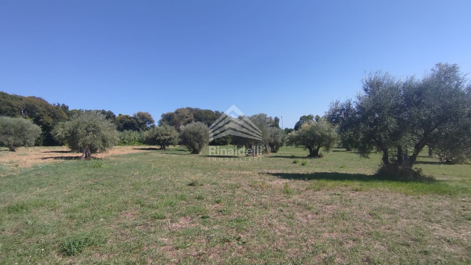 Terra in vendita a Civitanova Marche - Foto 32