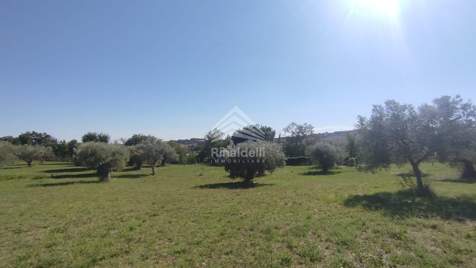 Terra in vendita a Civitanova Marche - Foto 15