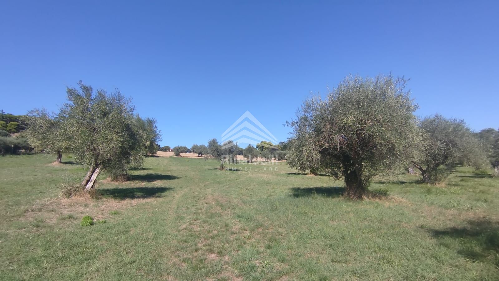 Terra in vendita a Civitanova Marche - Foto 33