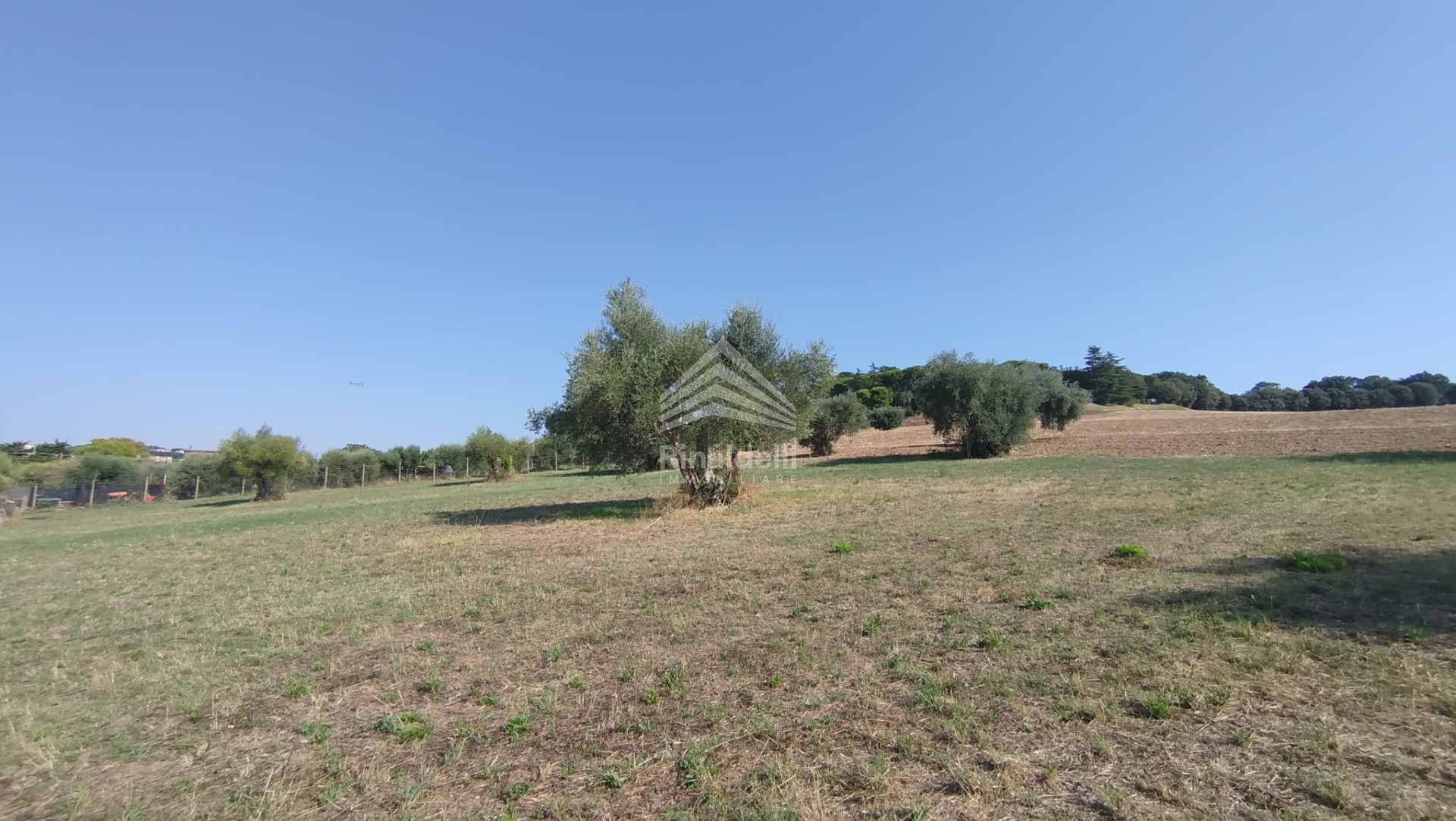 Terra in vendita a Civitanova Marche - Foto 10