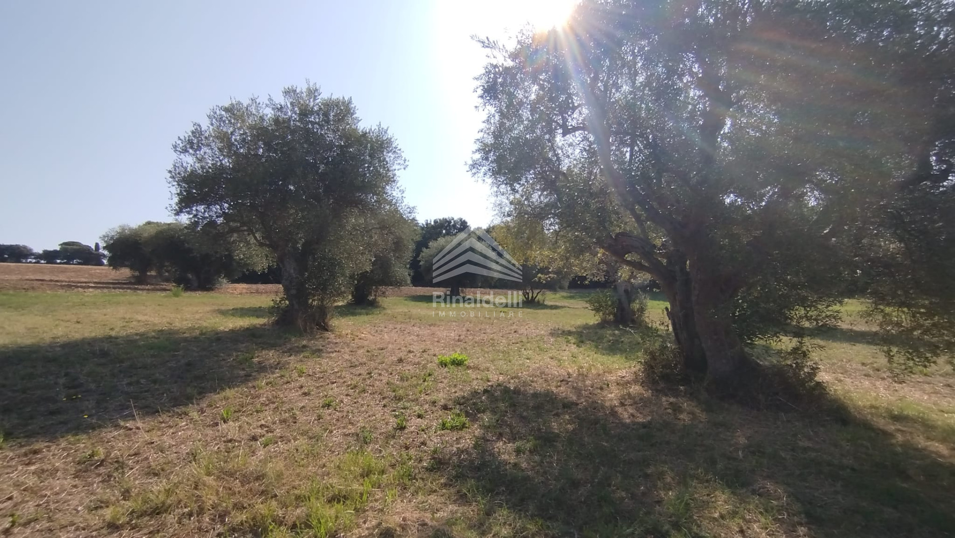 Terra in vendita a Civitanova Marche - Foto 9