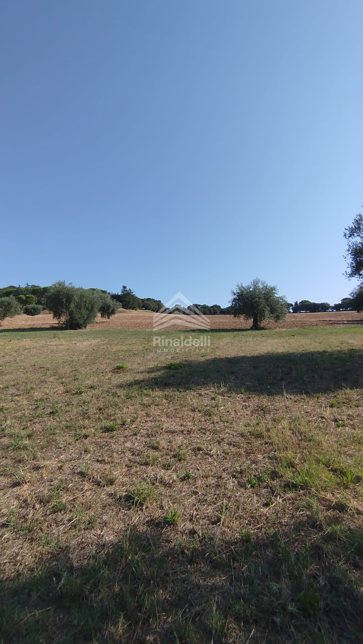 Terra in vendita a Civitanova Marche - Foto 2