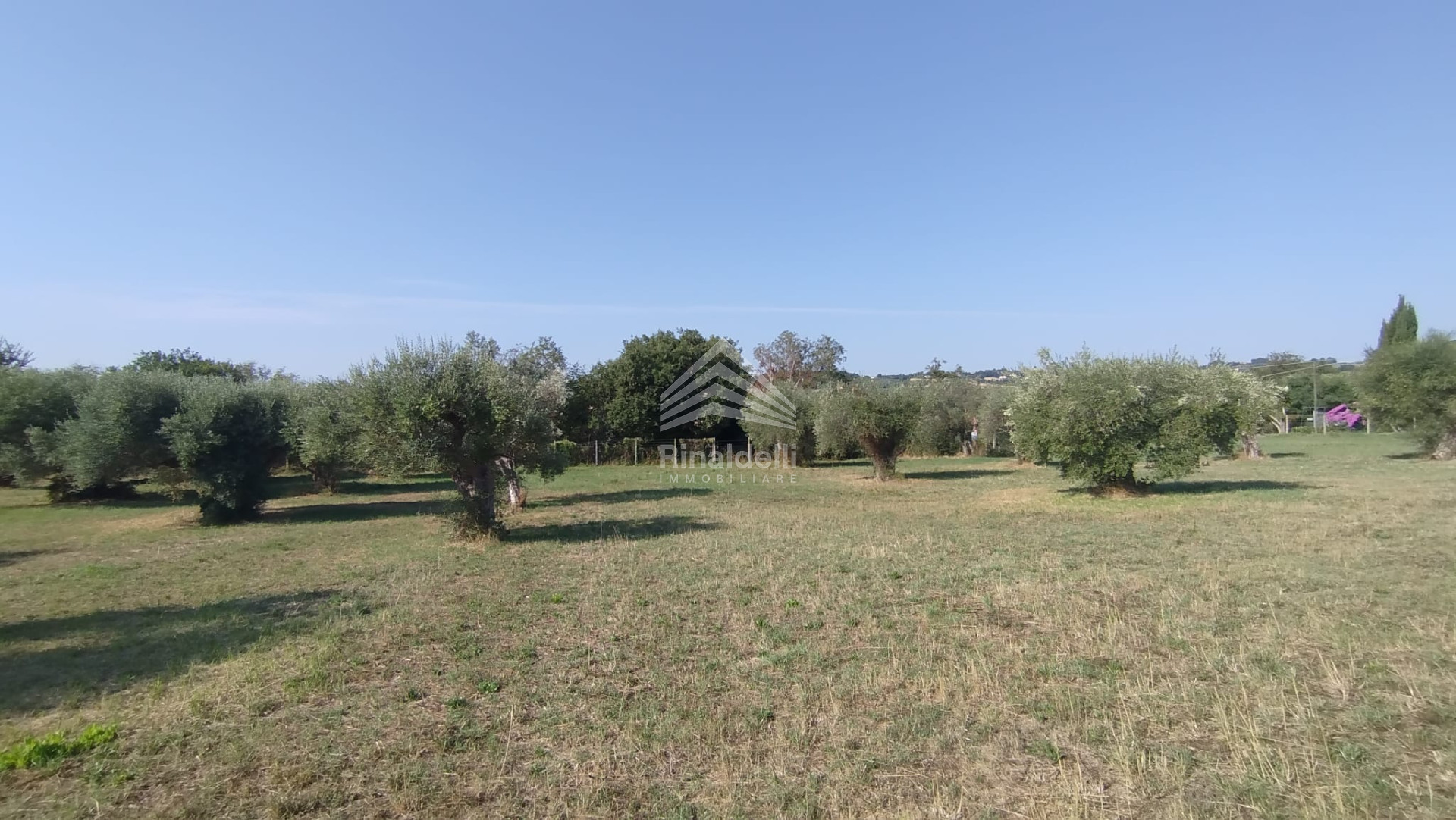 Terra in vendita a Civitanova Marche - Foto 8