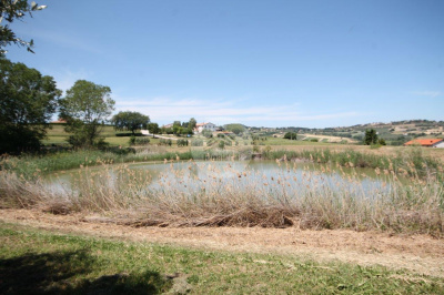 Terreno Agricolo in vendita a Civitanova Marche