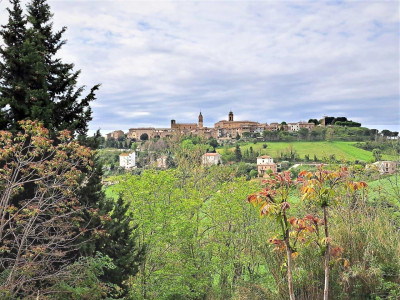  in vendita a Montecosaro