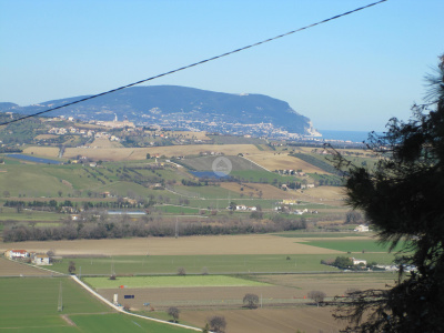 Accessorio condonato in vendita a Potenza Picena