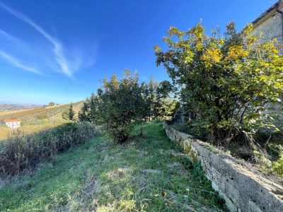 Casa Singola in vendita a Montelupone