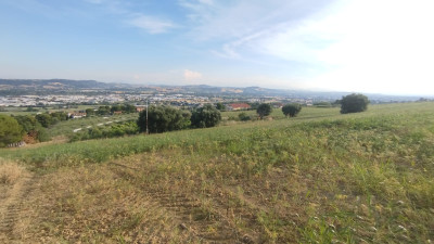 Terreno Agricolo in vendita a Civitanova Marche