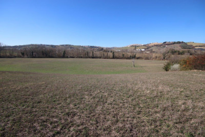 Terreno Agricolo in vendita a Sant'Elpidio a Mare