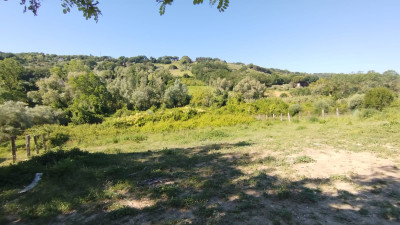Terreno Agricolo in vendita a Civitanova Marche