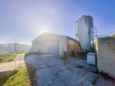 Casa Singola in vendita a Montottone