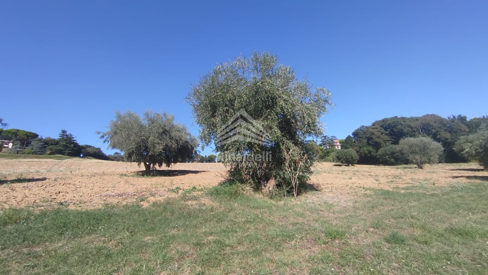 Terra in vendita a Civitanova Marche - Foto 18